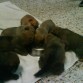 comiendo.......